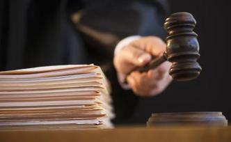 各級法院應(yīng)合理介入稅收執(zhí)法權(quán)，避免影響正常執(zhí)法 