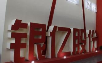 持續(xù)面臨流動(dòng)性危機(jī)，民企500強(qiáng)銀億集團(tuán)向法院申請(qǐng)重整