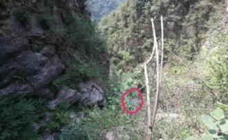 焦作市交警支队高速公路管理处处长王勇登山时意外坠崖身亡