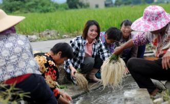 農(nóng)姐年扛百噸化肥，回鄉(xiāng)種絲線根：想帶鄉(xiāng)親一起致富