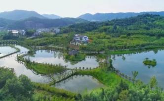 國盛集團(tuán)正牽頭組建長三角鄉(xiāng)村振興基金：目標(biāo)規(guī)模100億