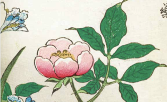 東方草木之美：綻放在西方的亞洲植物