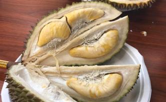 @吃貨們，一大波榴蓮界的“愛(ài)馬仕”正帶殼進(jìn)入上海