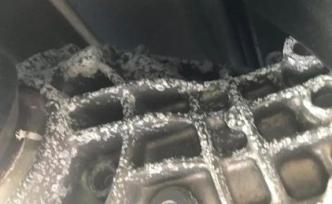 新车疑被海水腐蚀，4S店售后：闹到最后您没利益别怪兄弟我