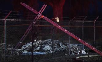 美國一架雙引擎飛機(jī)在夏威夷墜毀，機(jī)上9名乘客或全部遇難