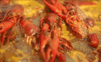 問吧精選 | 吃光這斤小龍蝦，也算你為長江生態(tài)出了一份力