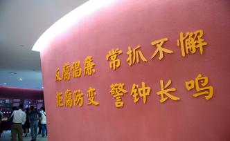 中央追逃办成立五周年：将反腐败国际追逃追赃进行到底