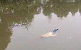 老漢酒后墜池塘酣睡一夜被當“浮尸”打撈：我是誰？我在哪？