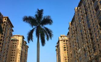 海南完善住房政策：未落戶的急需緊缺人才，可購買1套住房