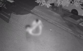 大連男子打人在推特上被傳為“難民襲擊歐洲女子”，法媒辟謠