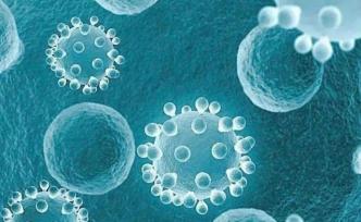 將細(xì)胞因子粘在腫瘤組織中，“腫瘤粘扣”可助精準(zhǔn)抗癌