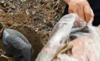 邯鄲肥鄉(xiāng)“反腐英雄尋女”續(xù)：家屬攜古井新挖出骨頭進京鑒定