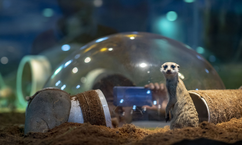 07-M_XxjpsgC007331_20190628_PEPFN1A001