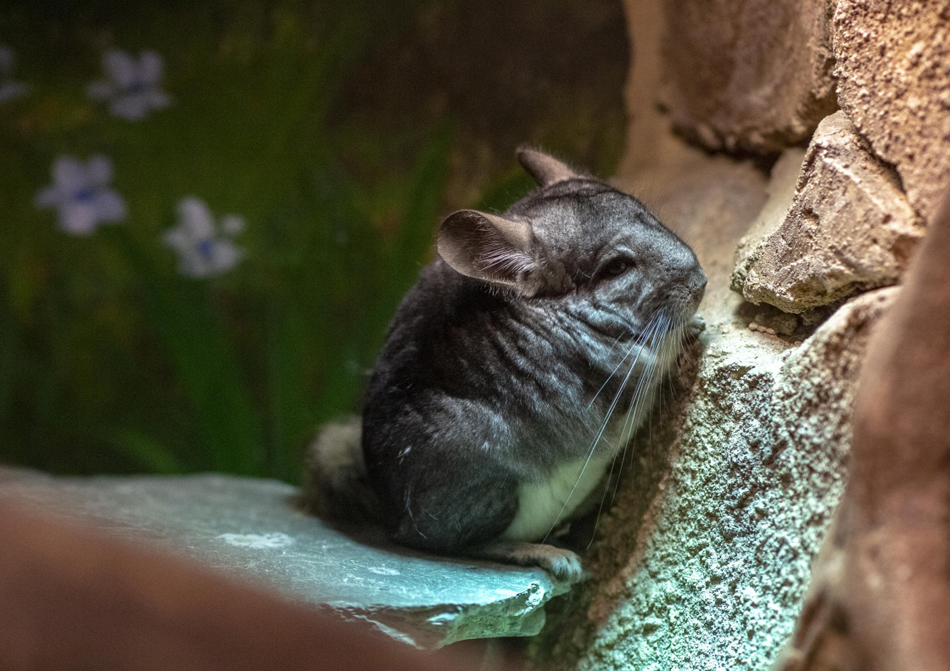 08-M_XxjpsgC007332_20190628_PEPFN1A001