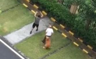 自家贵宾犬被金毛咬死，主人以暴制暴打死金毛犬被刑拘