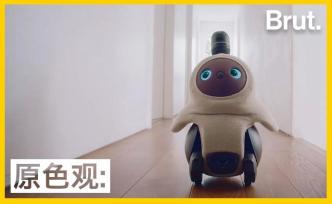 感到孤單寂寞？這款機器人能幫你舒緩壓力