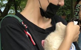 數(shù)百只貓咪裝車待宰：志愿者攔截救326只，檢疫后開(kāi)放領(lǐng)養(yǎng)