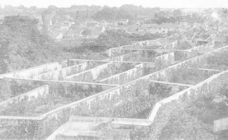 在墙上种水果？欧洲土大棚的前世今生