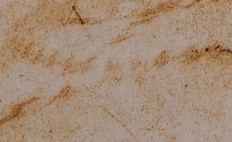 侘寂：如何通行，在Israel