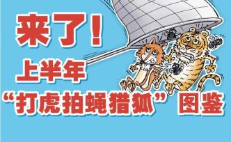 上半年“打虎拍蝇猎狐”图鉴：11名中管干部落马