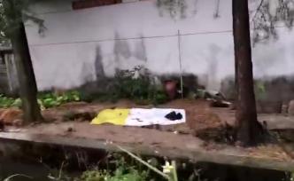 8歲男童被殺，遺體現(xiàn)廢棄學?；S池