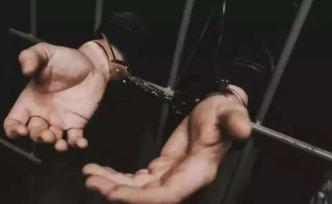 天津一男子带59条蟒36条蜥蜴入境被查，获刑12年