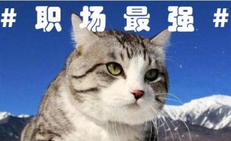 高手秘而不傳的三個函數(shù)，速算銷售提成原來只需1分鐘