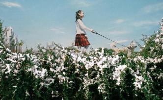 時代浪花⑨︱朱鋒：巨幅廣告幻景讓人激動