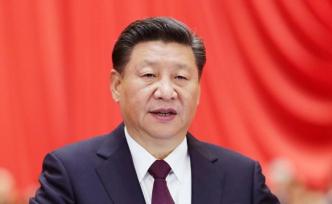 一籃楊梅里的初心