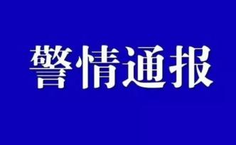 19岁男子驾车出车祸后冲上人行道致2人死亡，弃车逃逸被抓