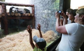 俄地鐵站發(fā)行一萬張印有大熊貓的交通卡，紀(jì)念中國大熊貓抵達(dá)