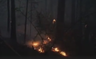 內(nèi)蒙古大興安嶺兩個火場明火均已撲滅