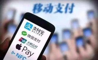 黄益平：移动支付打破胡焕庸线，8年来东西部差距缩小15%