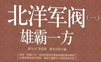 北洋軍閥：怪杰徐樹錚