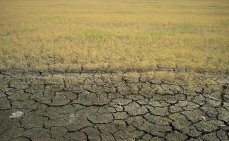 失控的農業：農業工業化的危機與全球食物系統的隱患