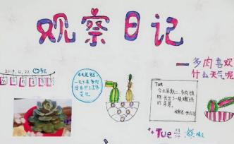 澎湃寒暑假征稿選登| 多肉植物喜歡什么天氣