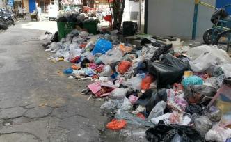 垃圾遍地污水发绿，业主不缴费物业撤离