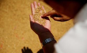 山西省委書(shū)記：加快培養(yǎng)懂農(nóng)業(yè)、愛(ài)農(nóng)村、愛(ài)農(nóng)民的干部隊(duì)伍