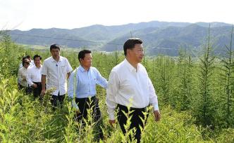 視頻丨習(xí)近平：建設(shè)生態(tài)安全屏障要世世代代去做