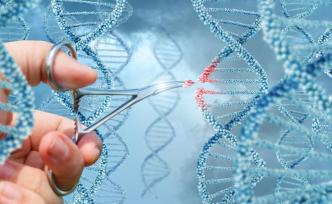 我國科研人員發(fā)布新型基因編輯技術(shù)：編輯效率最高可達80%