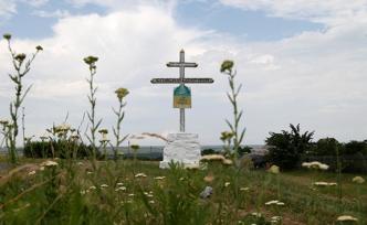 马来西亚交通部：将继续调查马航MH17事故