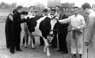 岱峻：富兰克·丁克生改变了川人的生活方式