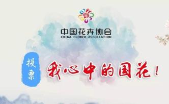 中国花协回应国花评选：只是收集民意，结果将及时公布