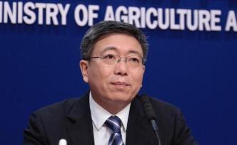 農(nóng)業(yè)農(nóng)村部：非洲豬瘟疫情得到有效控制，24省解除疫區(qū)封鎖