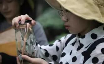 浙江一高校布置另類(lèi)暑假作業(yè)：抓130科上萬(wàn)只昆蟲(chóng)