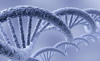 韓春雨沉寂3年“再發(fā)論文”，單位為河北科大基因編輯中心