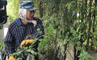 固守戰(zhàn)場：網(wǎng)絡輿論圍困中的日本農人川崎廣人