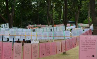 擺脫偏見，“剩女”和剩男該如何“突圍”？