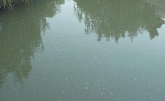 環(huán)境部：農村黑臭水體治理以房前屋后河塘溝渠等為重點