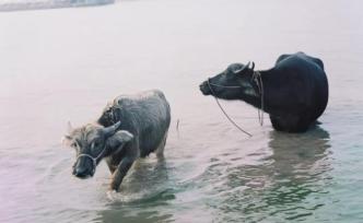 于濤：3年時間，一次珠江的影像溯游